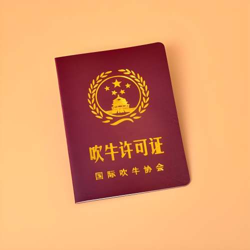 本地证件制作方法:DIY vs 专业服务谁更胜一筹?